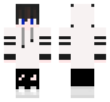Minecraft Sekin