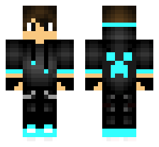 skin