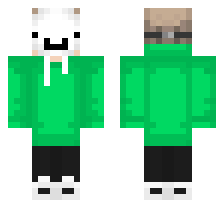 skin