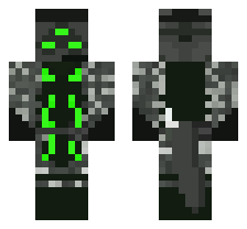 skin