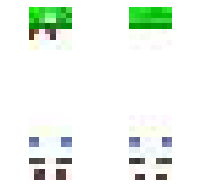 skin