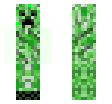 skin