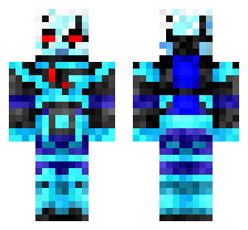 skin