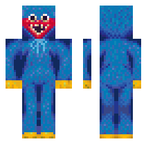 skin