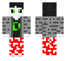 skin