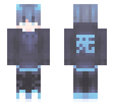 skin