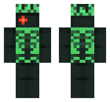 skin