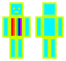 skin