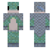 skin