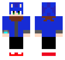 skin