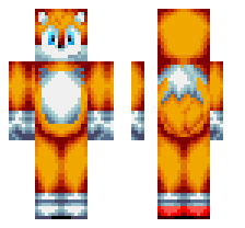 skin
