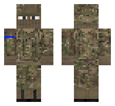 skin