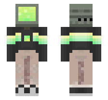 skin