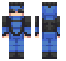 skin