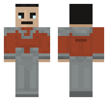 skin