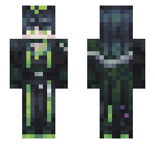 skin