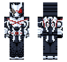 skin