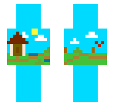 skin