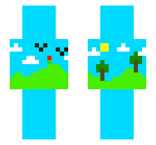 skin