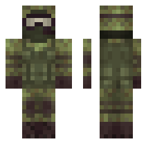 skin