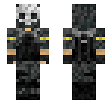 skin