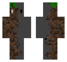 skin