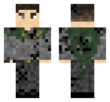 skin