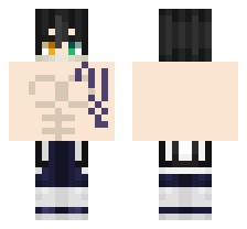 skin