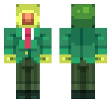 skin