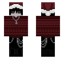 skin