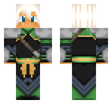 skin