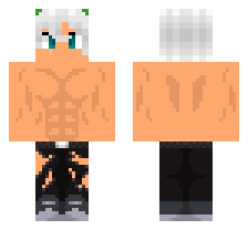 skin
