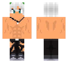 skin