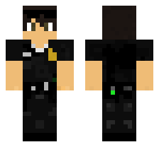 skin