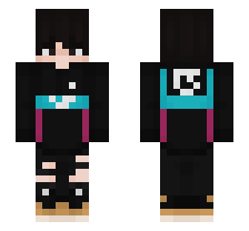 skin