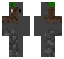 skin