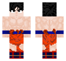 skin
