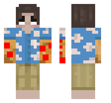 skin