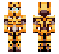 skin