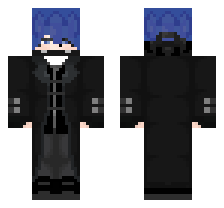 skin