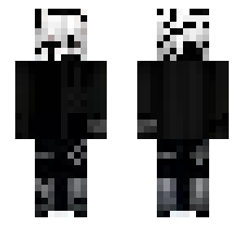 skin