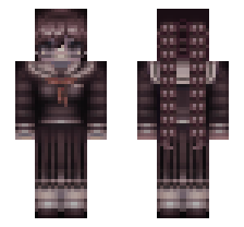 skin