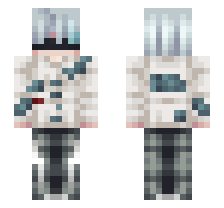 skin