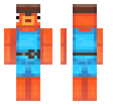 skin