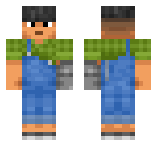 skin