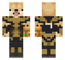 skin