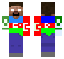 skin