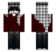 skin