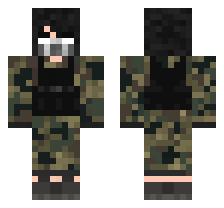 skin