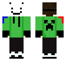 skin